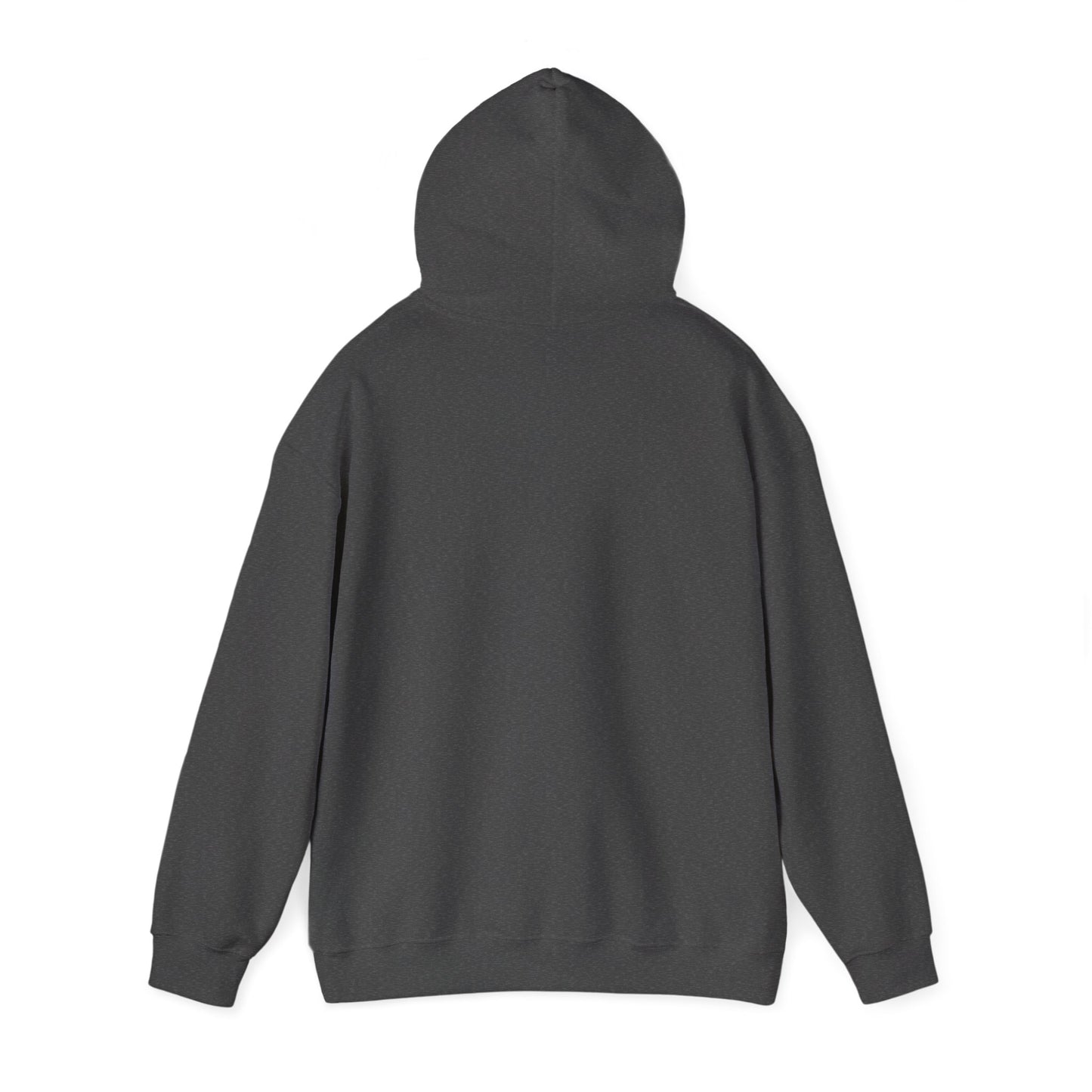 Hoodie — "My Energy Bothers You Every Day, It’s God Within Me" Religious Inspirational Hoodie